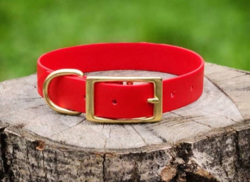Collier Biothane Mini